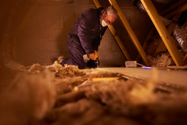 Types of Insulation We Offer in Hobart, WA